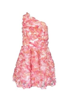 Faeriesty 3D Floral Rose Dress XL – One Shoulder, Pink Peach, NWT